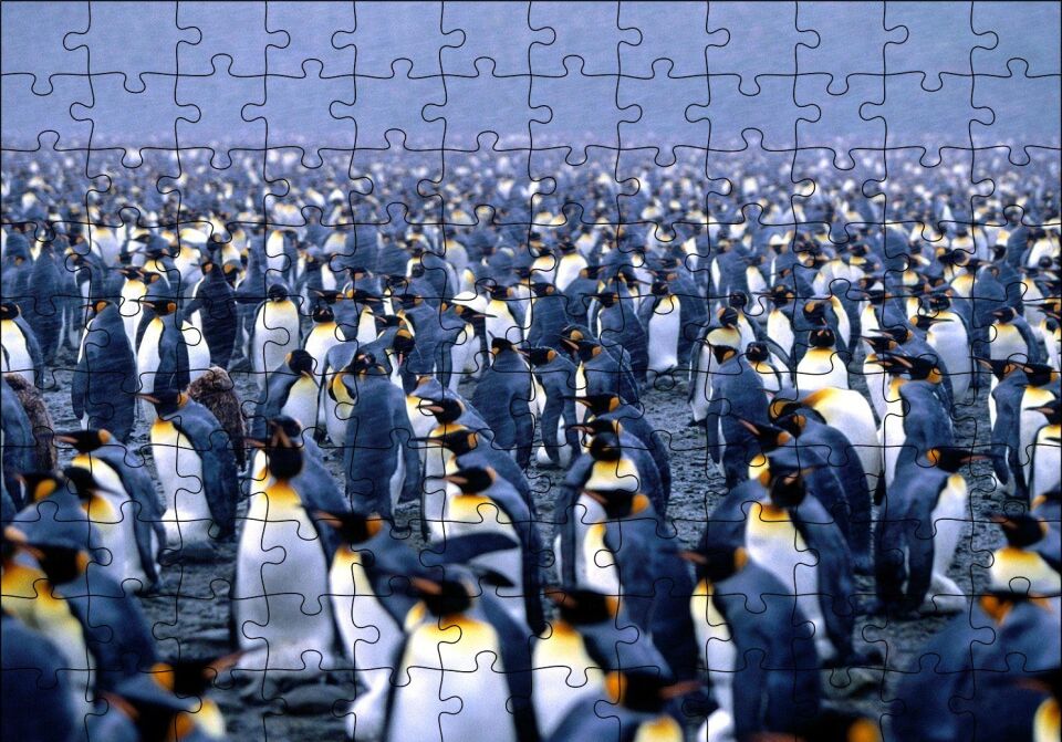 İmparator Penguenleri Mahşer Kalabalığı Puzzle Yapboz MDF Ahşap 120 Parça 24 cm X 34 cm