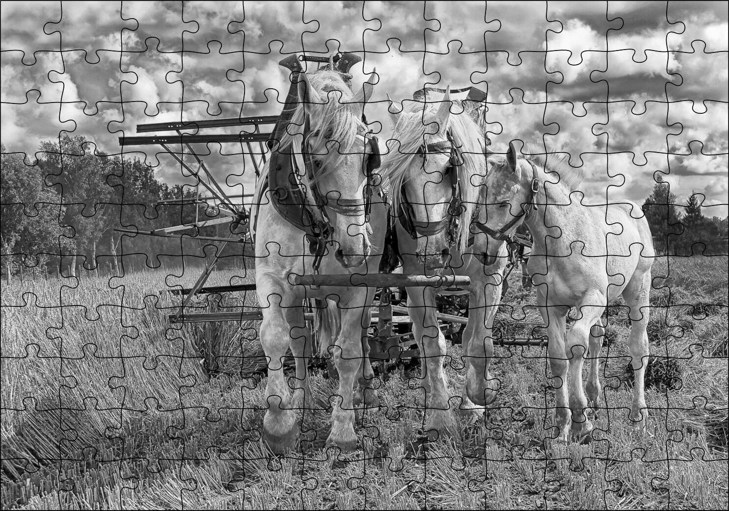 Hasat Yapan İki At ve Yanlarındaki Tay Monokrom Puzzle Yapboz MDF Ahşap 120 Parça 24 cm X 34 cm