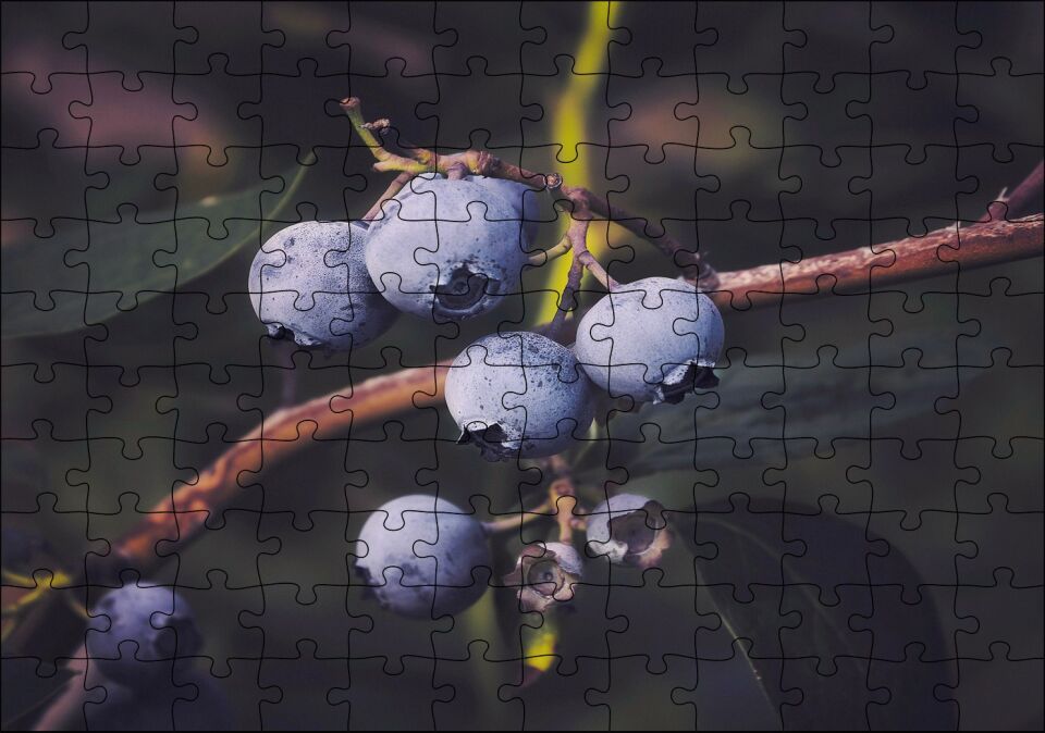 Dalda Yabanmersini Meyveleri Puzzle Yapboz MDF Ahşap 120 Parça 24 cm X 34 cm