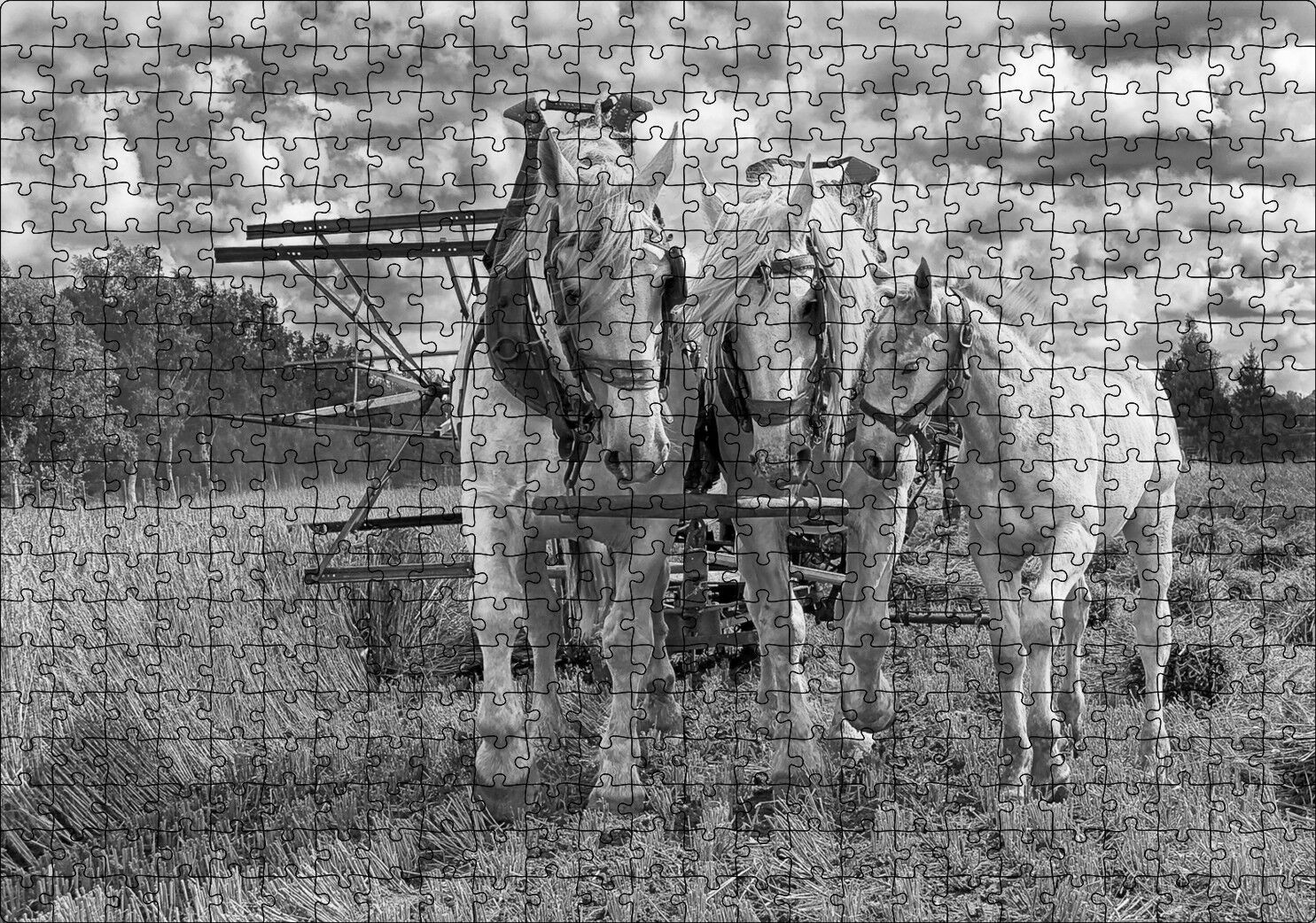 Hasat Yapan İki At ve Yanlarındaki Tay Monokrom Puzzle Yapboz MDF Ahşap 500 Parça 49 cm X 68 cm