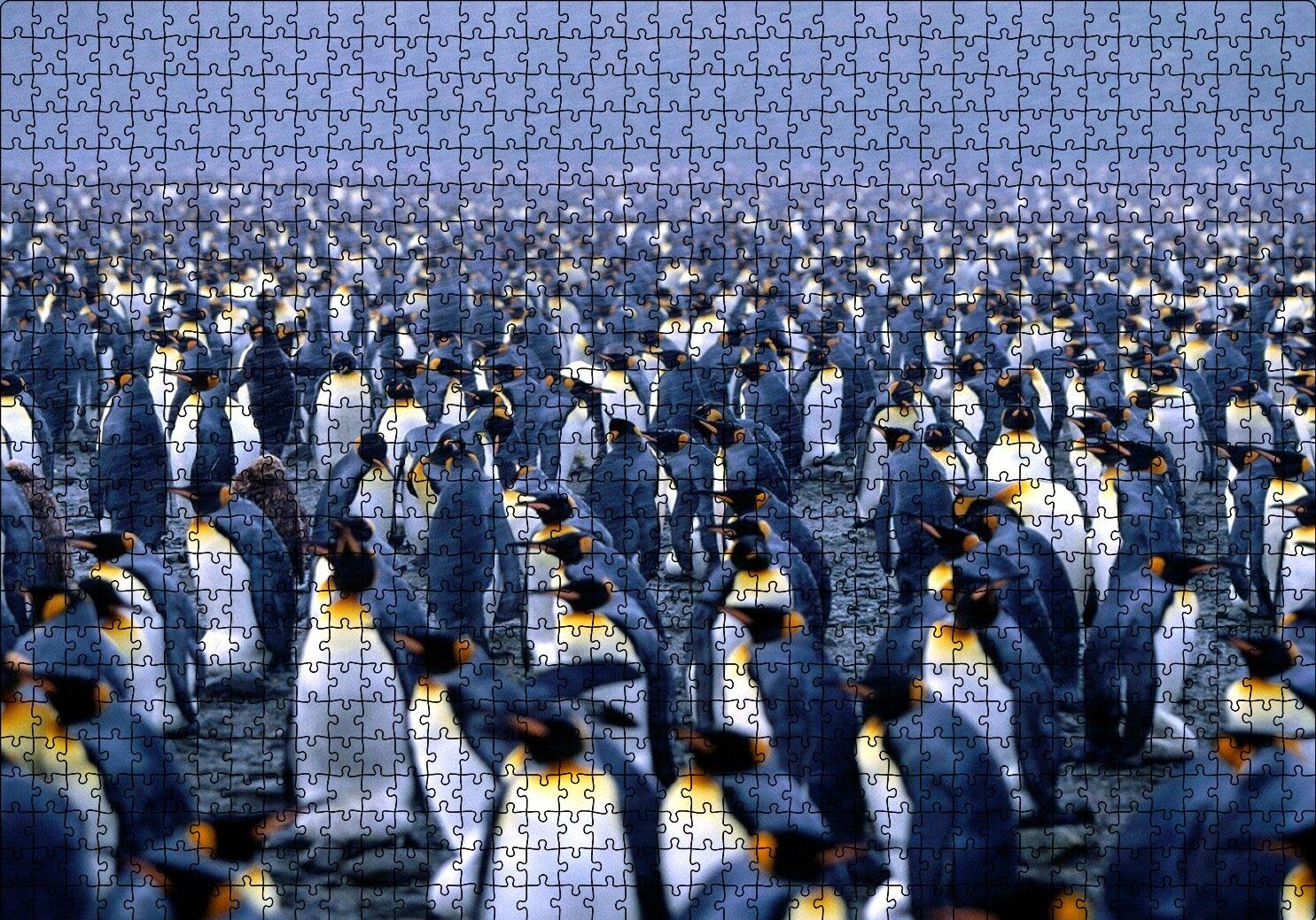 İmparator Penguenleri Mahşer Kalabalığı Puzzle Yapboz MDF Ahşap 1000 Parça 49 cm X 68 cm
