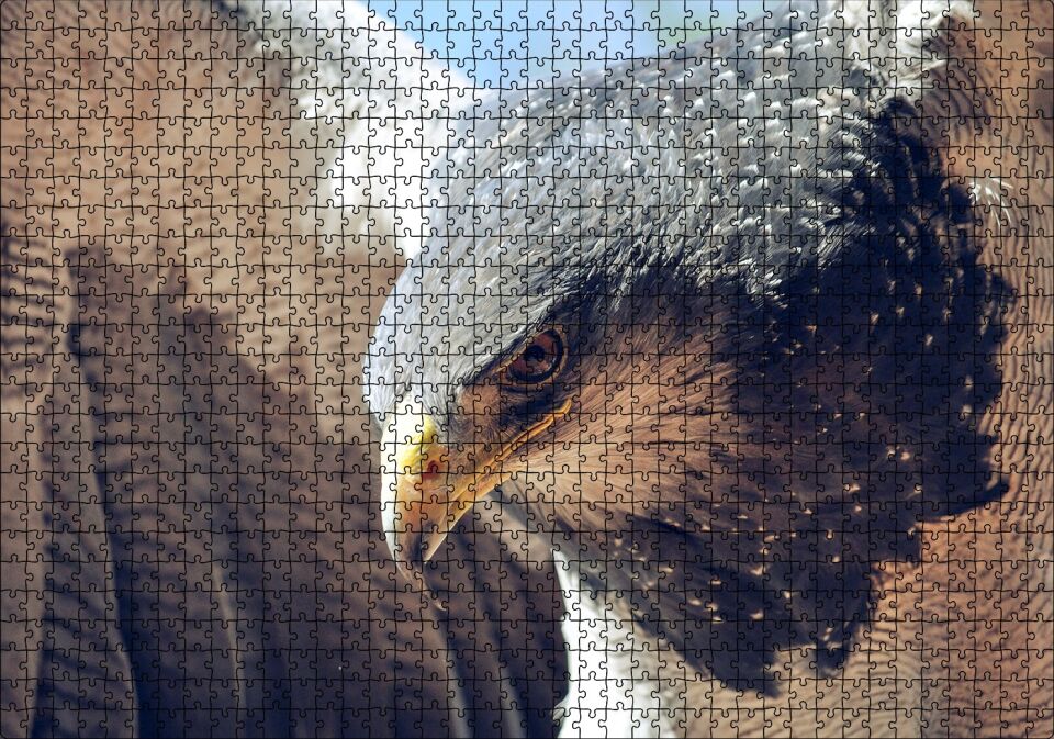 Süzülen Kartal Yakın Plan Puzzle Yapboz MDF Ahşap 1000 Parça 49 cm X 68 cm