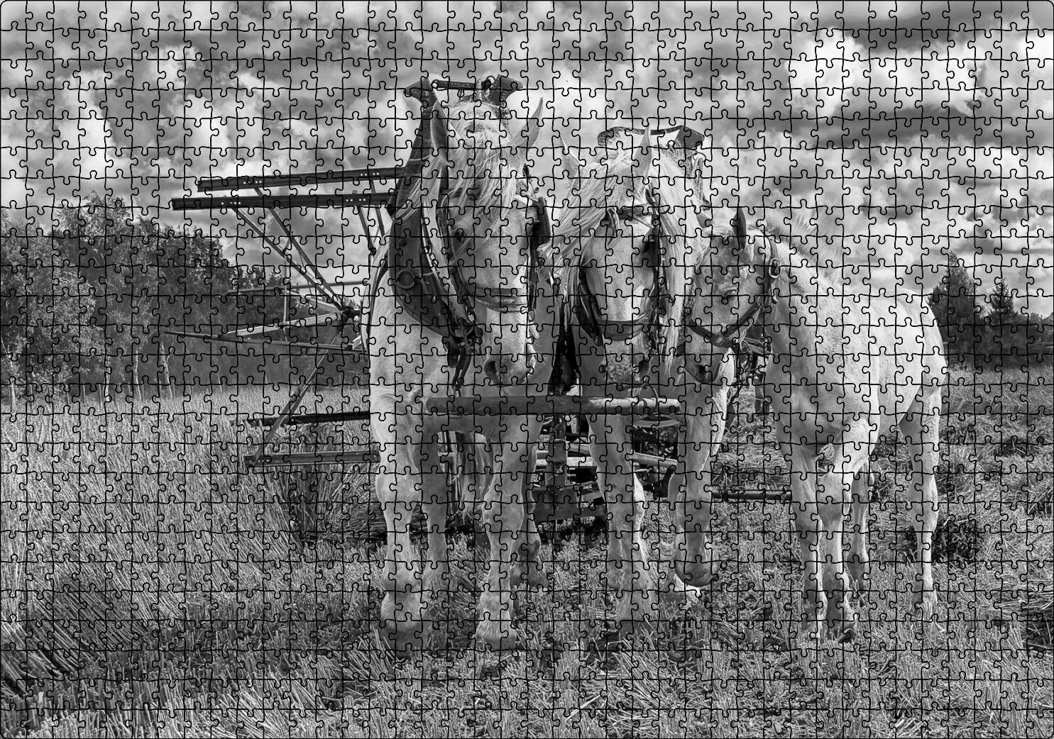 Hasat Yapan İki At ve Yanlarındaki Tay Monokrom Puzzle Yapboz MDF Ahşap 1000 Parça 49 cm X 68 cm