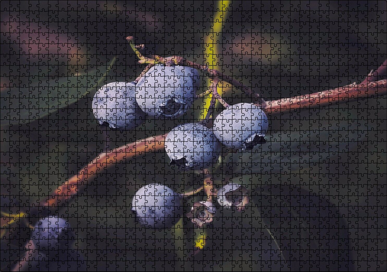 Dalda Yabanmersini Meyveleri Puzzle Yapboz MDF Ahşap 1000 Parça 49 cm X 68 cm