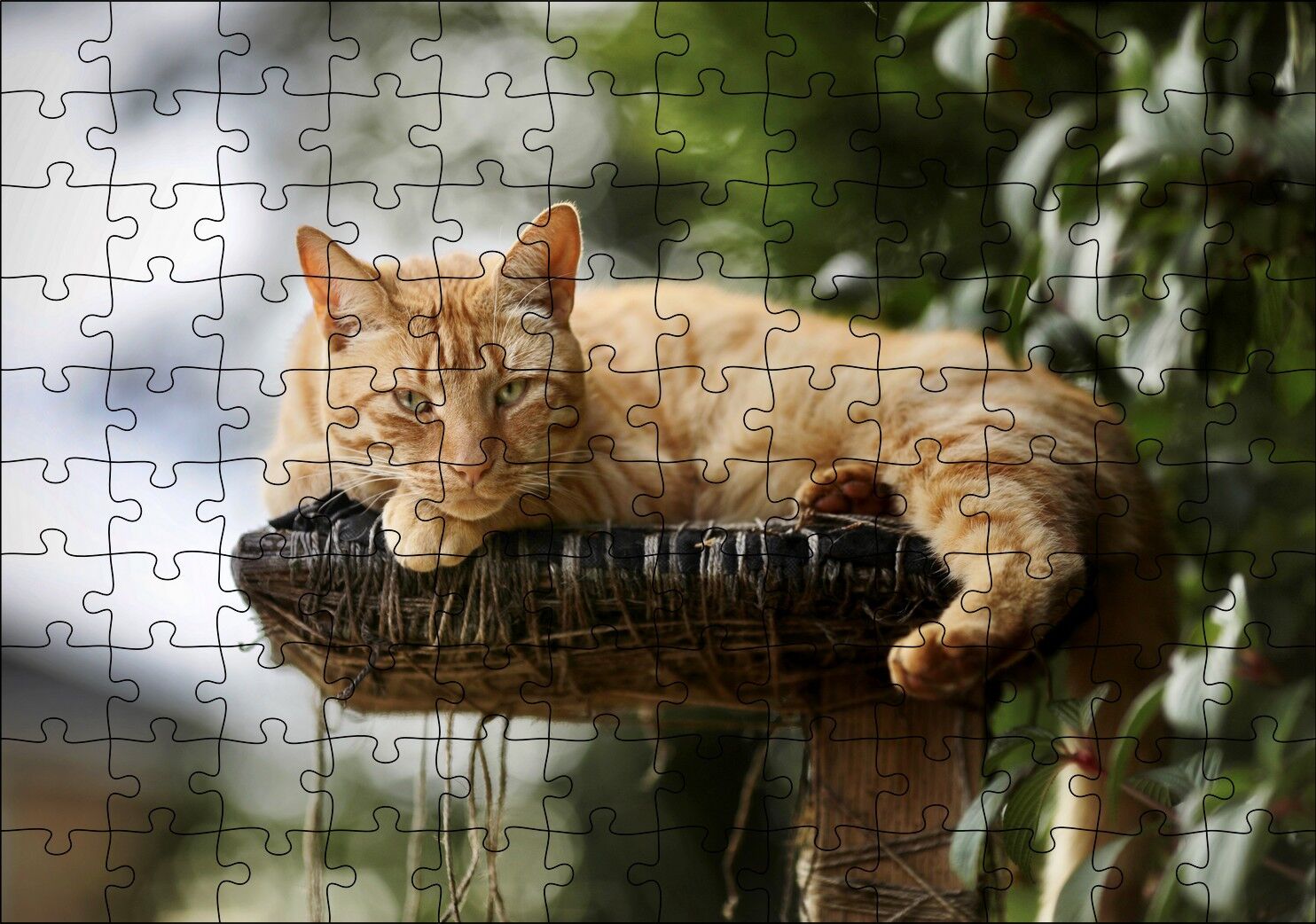 Kütüğün Üzerinde Miskinlik Eden Sarı Kedi Puzzle Yapboz MDF Ahşap