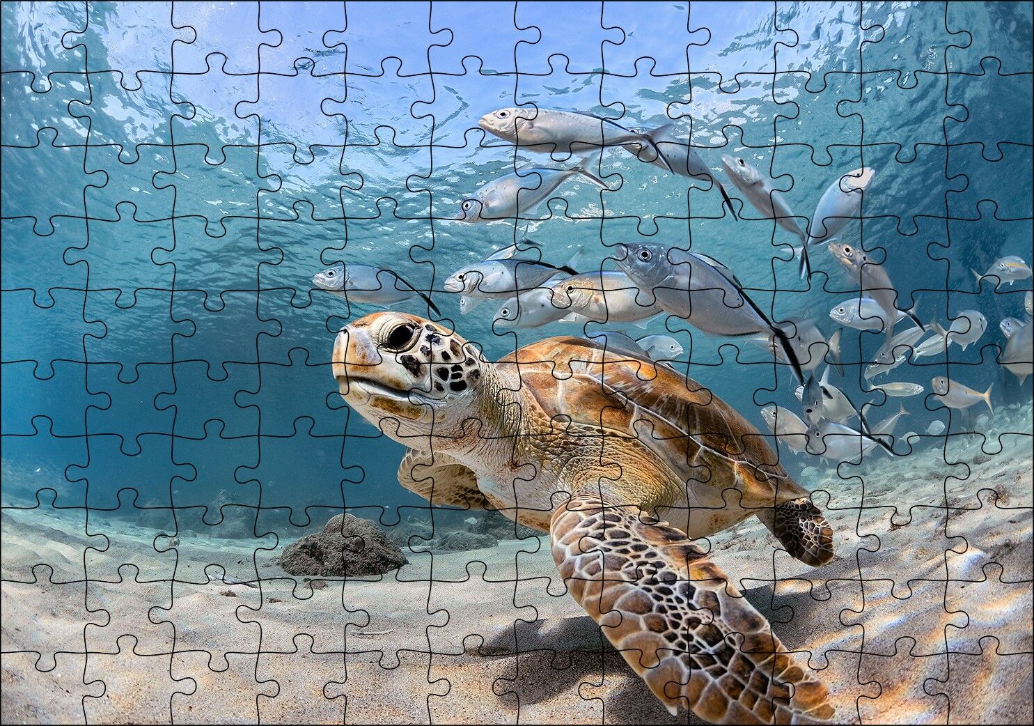 Sevimli Caretta ve Ton Balıkları Puzzle Yapboz MDF Ahşap 120 Parça 24 cm X 34 cm