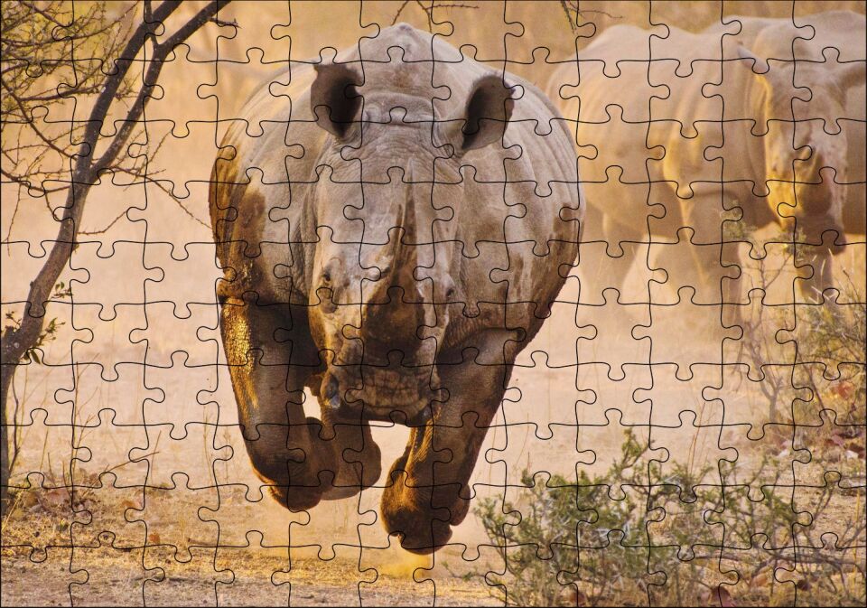 Hücum Halindeki Gergedan ve Arkada Ailesi Puzzle Yapboz MDF Ahşap 120 Parça 24 cm X 34 cm