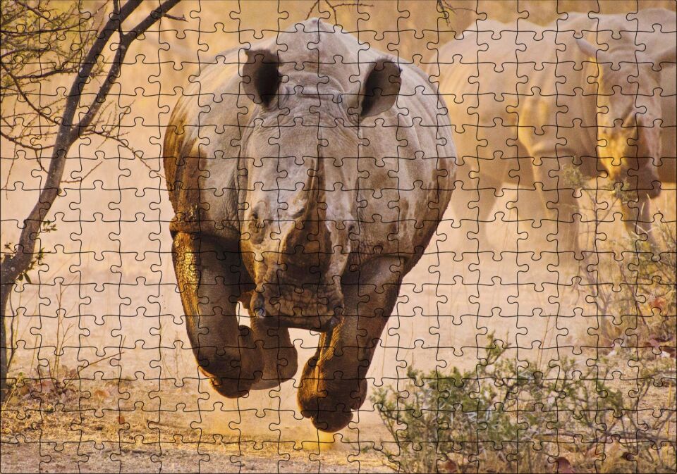 Hücum Halindeki Gergedan ve Arkada Ailesi Puzzle Yapboz MDF Ahşap 255 Parça 34 cm X 49 cm