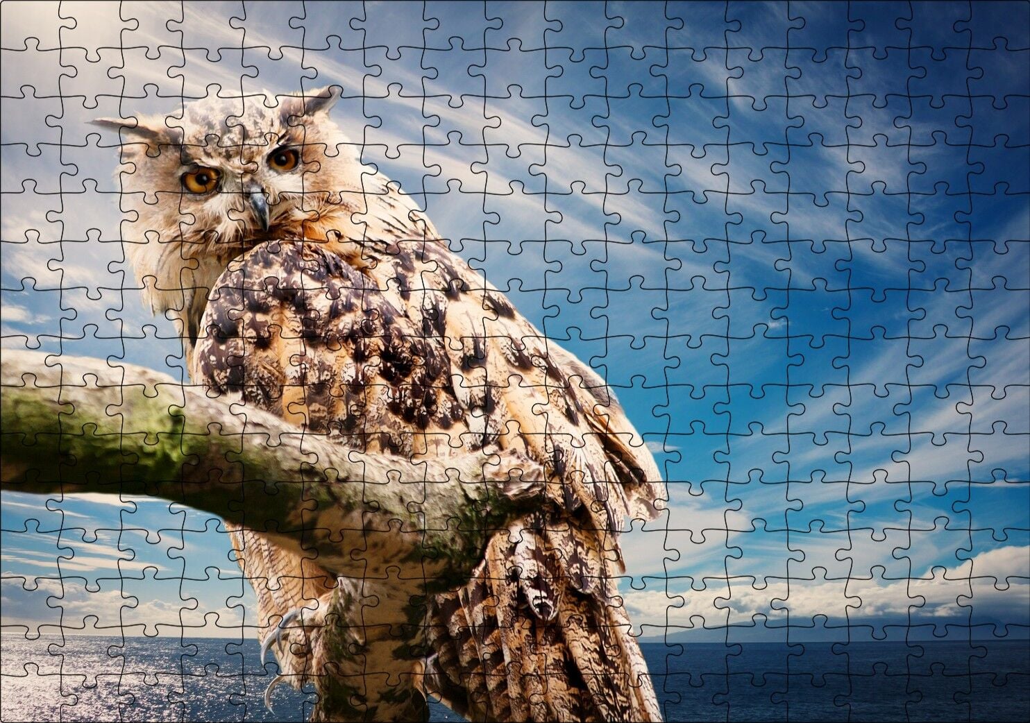 Daldaki Avcı Baykuş Deniz ve Bulutlar Puzzle Yapboz MDF Ahşap 255 Parça 34 cm X 49 cm