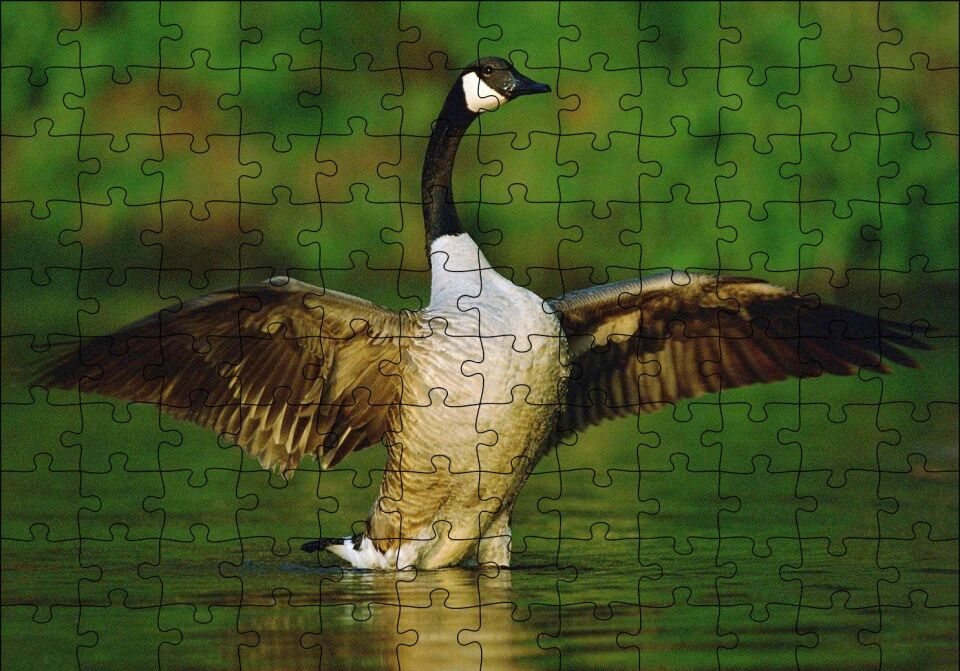 Gölde Kanatlarını Açmış Kaz Puzzle Yapboz MDF Ahşap