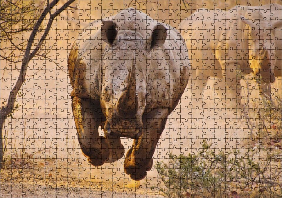 Hücum Halindeki Gergedan ve Arkada Ailesi Puzzle Yapboz MDF Ahşap 500 Parça 49 cm X 68 cm