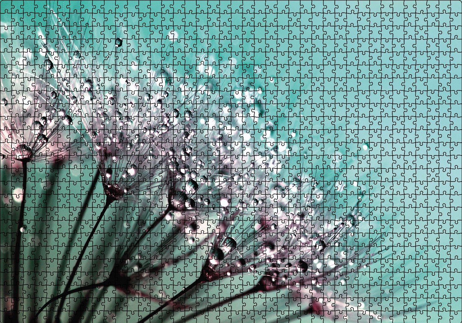 Çiçekler Üzerinde Çiy Damlaları Puzzle Yapboz MDF Ahşap 1000 Parça 49 cm X 68 cm