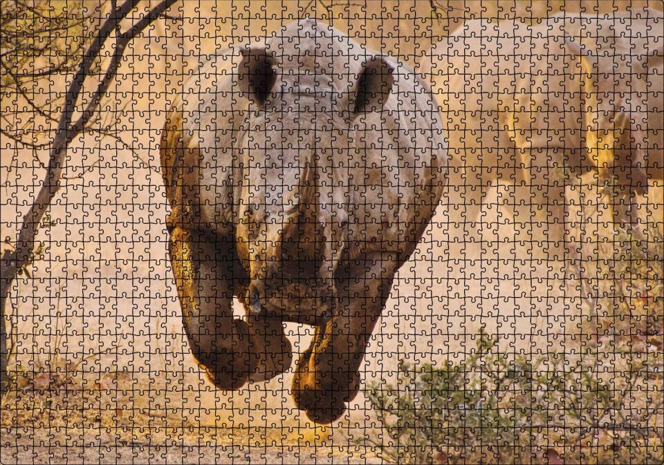 Hücum Halindeki Gergedan ve Arkada Ailesi Puzzle Yapboz MDF Ahşap 1000 Parça 49 cm X 68 cm