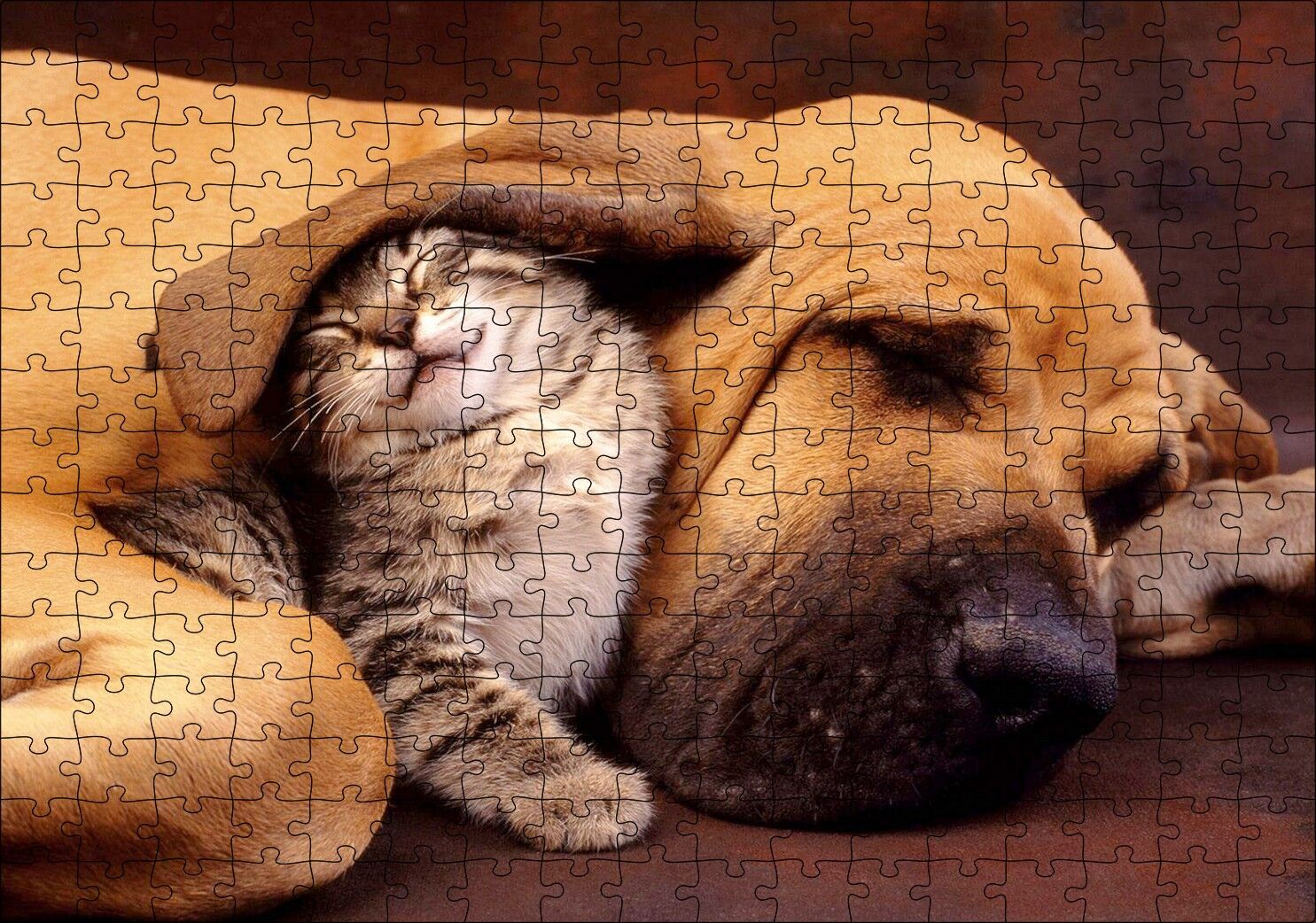 Sevimli Sharpy Köpek ve Yavru Kedi Puzzle Yapboz MDF Ahşap 255 Parça 34 cm X 49 cm
