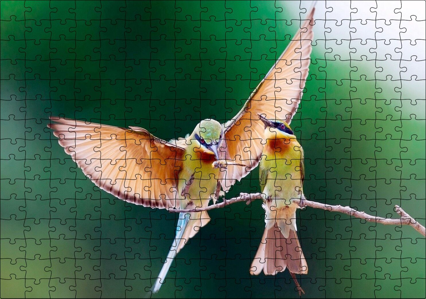 Daldaki Dişisini Besleyen Erkek Kuş Puzzle Yapboz MDF Ahşap 255 Parça 34 cm X 49 cm