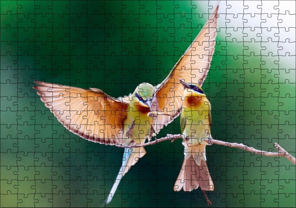 Daldaki Dişisini Besleyen Erkek Kuş Puzzle Yapboz MDF Ahşap 255 Parça 34 cm X 49 cm