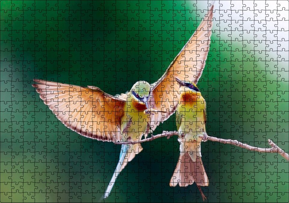 Daldaki Dişisini Besleyen Erkek Kuş Puzzle Yapboz MDF Ahşap 500 Parça 49 cm X 68 cm