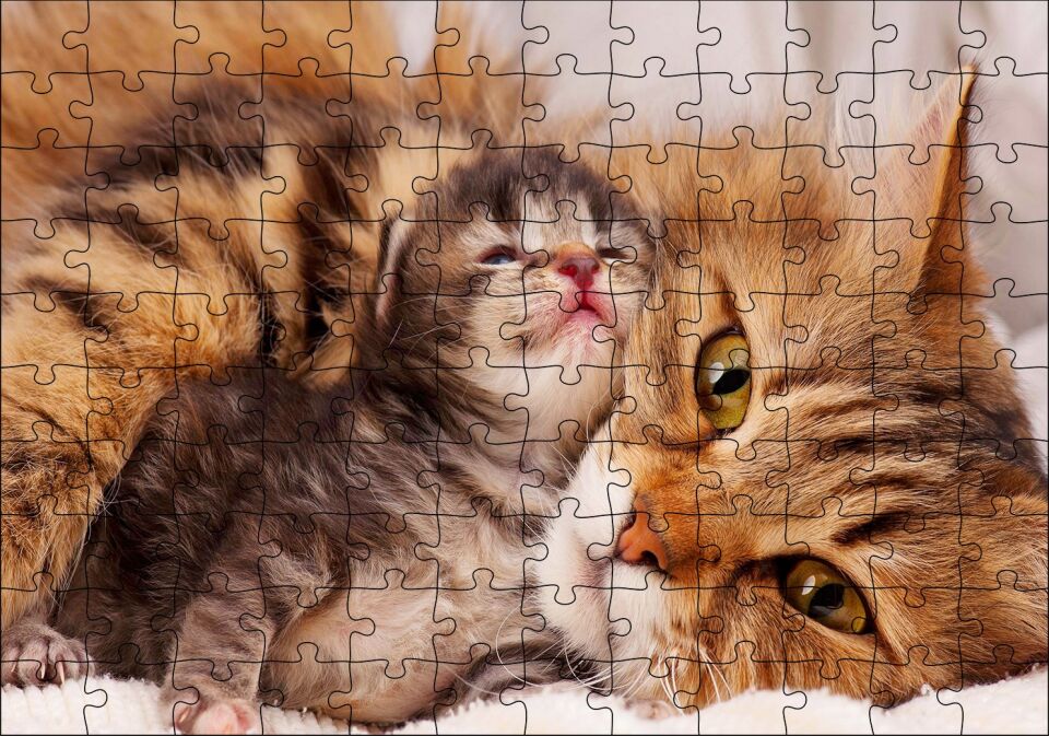 Sevimli Tekir ve Minicik Yavrusu Yakın Çekim Puzzle Yapboz MDF Ahşap 120 Parça 24 cm X 34 cm
