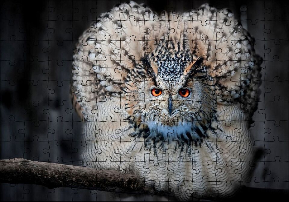 Daldaki Kartal Baykuşu ve Muhteşem Tüyleri Puzzle Yapboz MDF Ahşap 120 Parça 24 cm X 34 cm