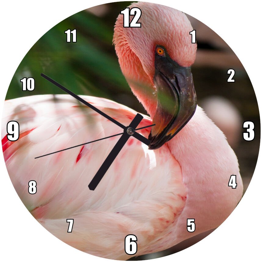 Pembeli Beyazlı Amerikan Flamingosu Görseli Mdf Ahşap Duvar Saati 30 cm Çap