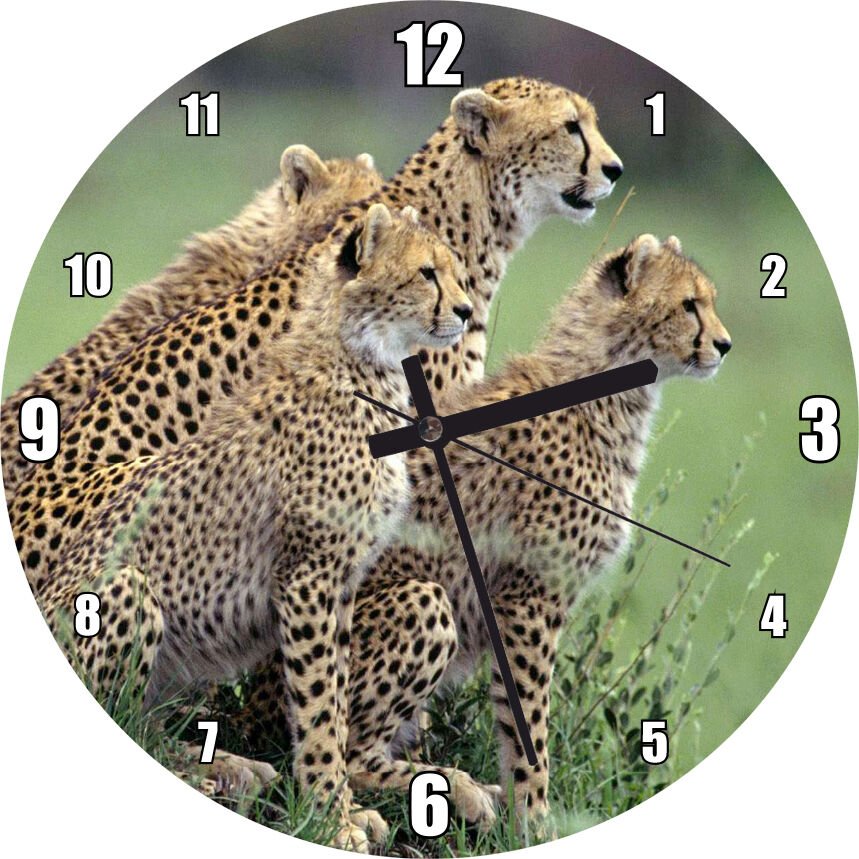 Yavrularına Eğitim Veren Anne Çita Görseli Mdf Ahşap Duvar Saati