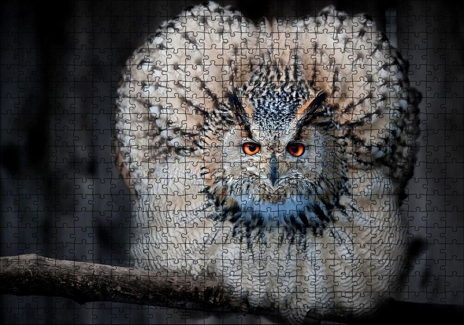 Daldaki Kartal Baykuşu ve Muhteşem Tüyleri Puzzle Yapboz MDF Ahşap 500 Parça 49 cm X 68 cm