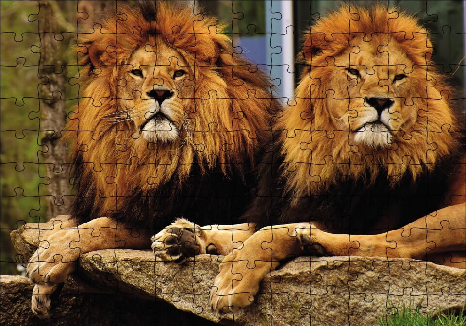 İki Aslan Puzzle Yapboz MDF Ahşap