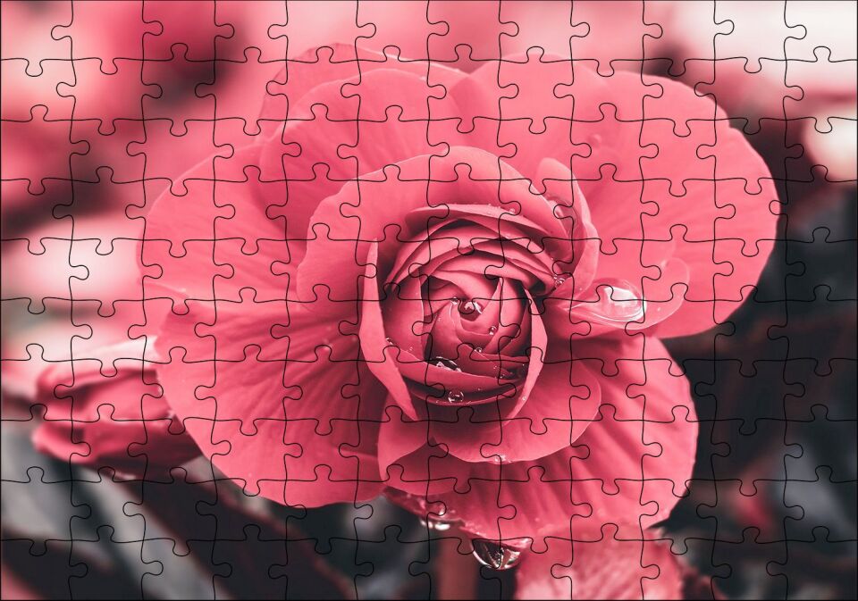 Kırmızı Çiçek ve Damlalar Yakın Plan Puzzle Yapboz MDF Ahşap