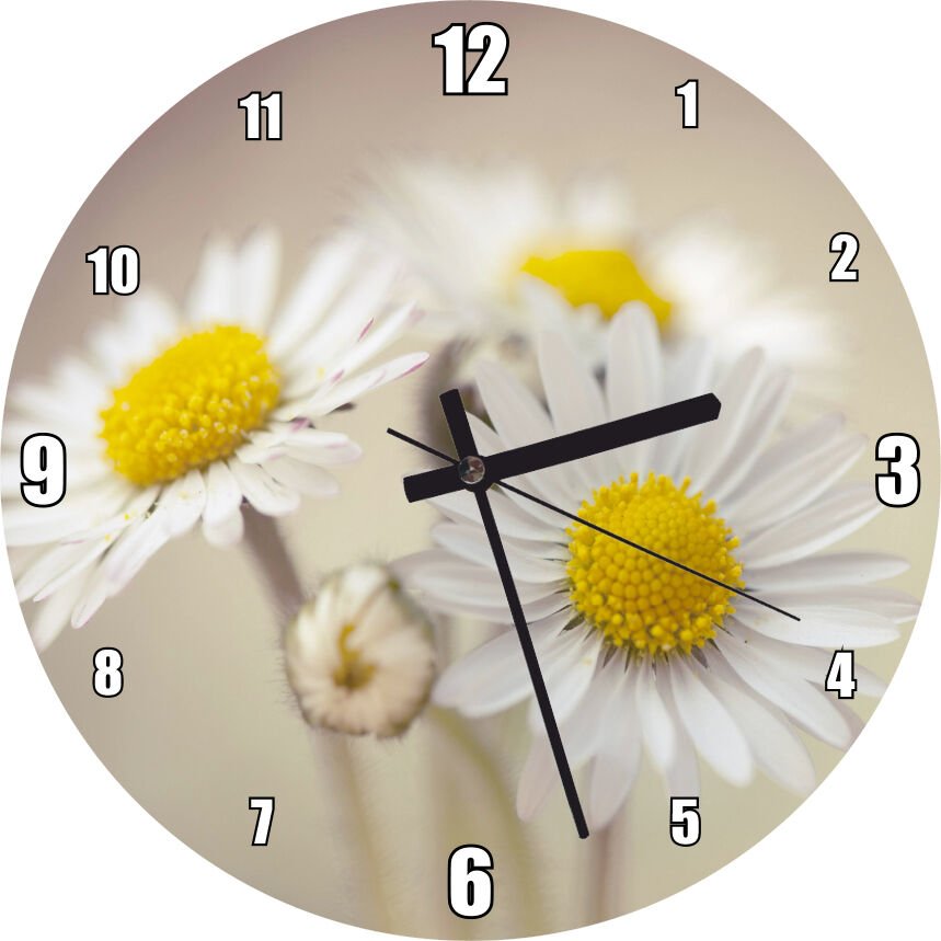 Üç Papatya Yakın Çekim Flu Arkaplan Görseli Mdf Ahşap Duvar Saati
