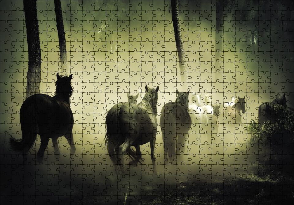Horses Puzzle Yapboz MDF Ahşap 500 Parça 49 cm X 68 cm