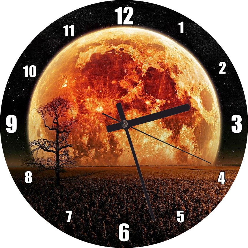 Tropik Ada ve Berrak Sulardaki Yunuslar Görseli Mdf Ahşap Duvar Saati